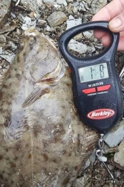 Berkley Digital Fish Scale - Scales