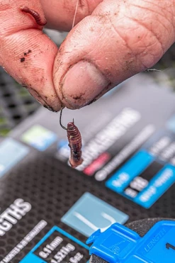 Preston Innovations Revalution N-20 Hooklengths - Hooks to nylon -Coarse Fishing Store 10hzvkcp637613444352885333