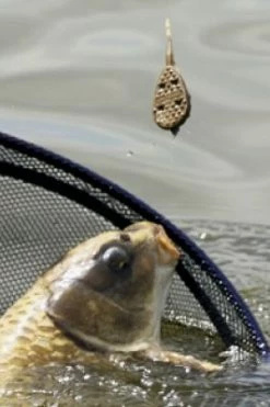 Drennan In-Line Flat Method Feeder & Mould - Method feeders -Coarse Fishing Store 1327010599 dren flat