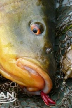 Drennan In-Line Flat Method Feeder & Mould - Method feeders -Coarse Fishing Store 1367915431 1