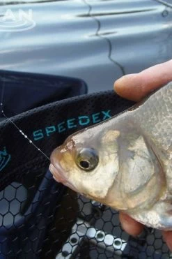 Drennan Speedex Carp Net 20inch - Landing nets -Coarse Fishing Store 1387791362 3