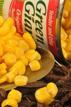 Green Giant Original Sweetcorn 340g - Particles