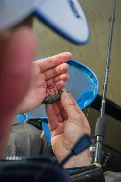 Preston Innovations ICS In-Line Maggot Feeders - 12 Preston Innovations ICS In-Line Maggot Feeders - -Coarse Fishing Store 2nukwsqk636584544029149718