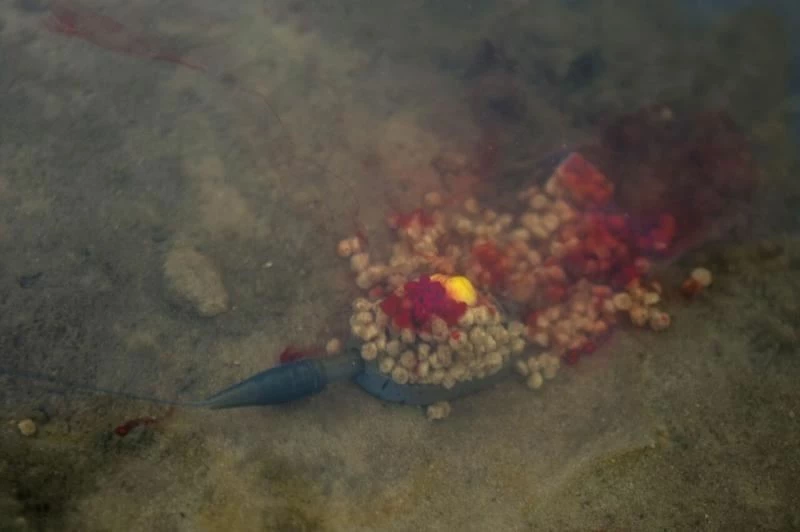 Preston Innovations ICS In Line Method Feeder - Method feeders 2 Preston Innovations ICS In Line Method Feeder - Method feeders - Image 2