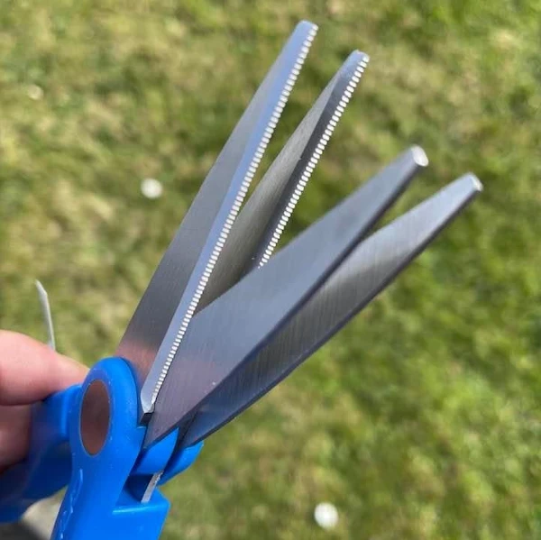 Cresta Double Bladed Worm Scissors - 2 Cresta Double Bladed Worm Scissors - - Image 2