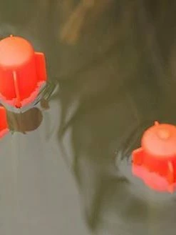 Drennan XL Pellet Wagglers - -Coarse Fishing Store epgvkh1w636681161094163738