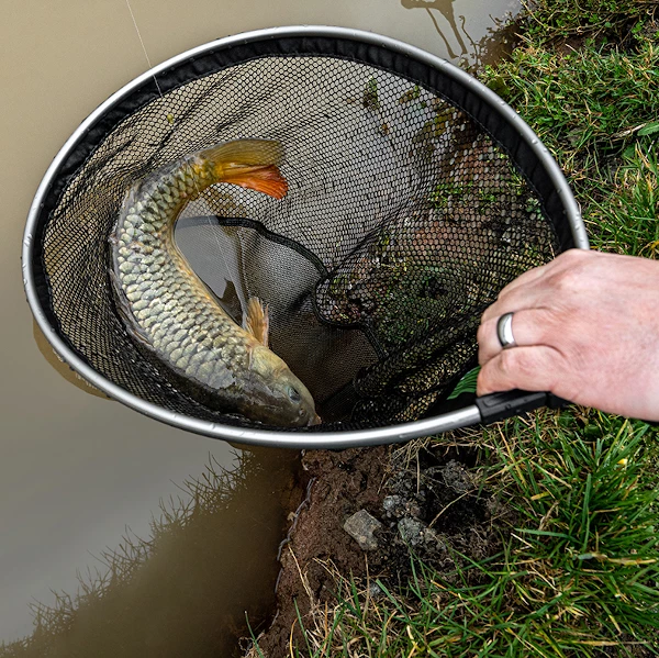 Korum Phase 1 Spoon Net 18inch - Landing nets 5 Korum Phase 1 Spoon Net 18inch - Landing nets - Image 5