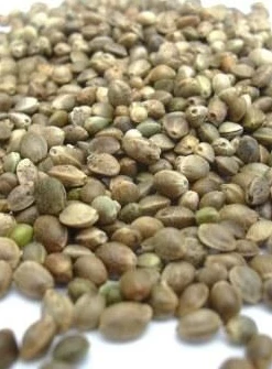 Skrettings Hempseed 1kg (Uncooked) - Particles