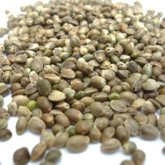 Skrettings Hempseed 1kg (Uncooked) - Particles 1 Skrettings Hempseed 1kg (Uncooked) - Particles