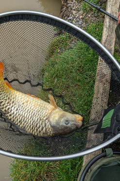 Korum Phase 1 Spoon Net 18inch - Landing nets 13 Korum Phase 1 Spoon Net 18inch - Landing nets -Coarse Fishing Store hdbu3xm3637568629618562363