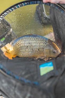 Preston Innovations Quick Dry Landing Nets - 7 Preston Innovations Quick Dry Landing Nets - -Coarse Fishing Store i5smicx2637613430610108593