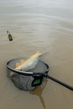 Korum Phase 1 Spoon Net 18inch - Landing nets 10 Korum Phase 1 Spoon Net 18inch - Landing nets -Coarse Fishing Store iyeqa42i637568629618562363