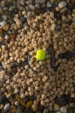 Sonubaits Fin Perfect Feed Pellets - -Coarse Fishing Store kugqzl3v637774972457644259