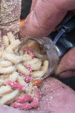 Preston Innovations Clik Cap Feeders - Maggot feeders 4 Preston Innovations Clik Cap Feeders - Maggot feeders -Coarse Fishing Store kyx3emba637472638324660852