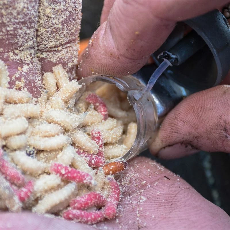 Preston Innovations Clik Cap Feeders - Maggot feeders 2 Preston Innovations Clik Cap Feeders - Maggot feeders - Image 2