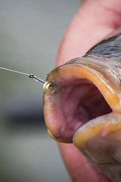 Matrix MXC-6 Medium Eyed Barbless Hooks - Eyed hooks -Coarse Fishing Store la0mxjlv637328184280900387