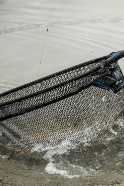 MAP Shake Dry Net 16inch - Landing nets -Coarse Fishing Store myoxxd5t637505340975802895