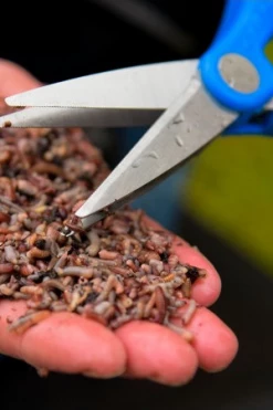 Cresta Double Bladed Worm Scissors - 9 Cresta Double Bladed Worm Scissors - -Coarse Fishing Store pluf24jk637546010692678274