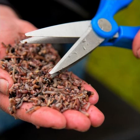 Cresta Double Bladed Worm Scissors - 4 Cresta Double Bladed Worm Scissors - - Image 4