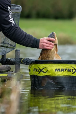 Matrix 2.5m Commercial Keepnets - -Coarse Fishing Store r1ijpt51637559887821774526