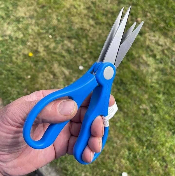 Cresta Double Bladed Worm Scissors - 5 Cresta Double Bladed Worm Scissors - - Image 5