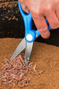 Cresta Double Bladed Worm Scissors - 8 Cresta Double Bladed Worm Scissors - -Coarse Fishing Store u5mcfpxa637546010692678274