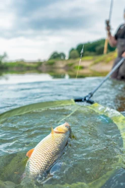 Korum Fast Net Heads - Landing nets