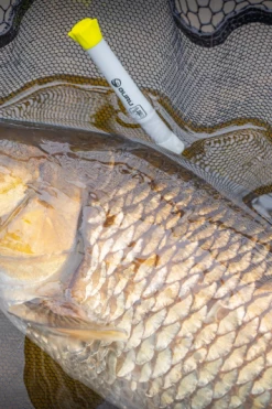 Guru Duel 600 Specimen Net - Landing nets 14 Guru Duel 600 Specimen Net - Landing nets -Coarse Fishing Store vloqjv3a637418920202934488