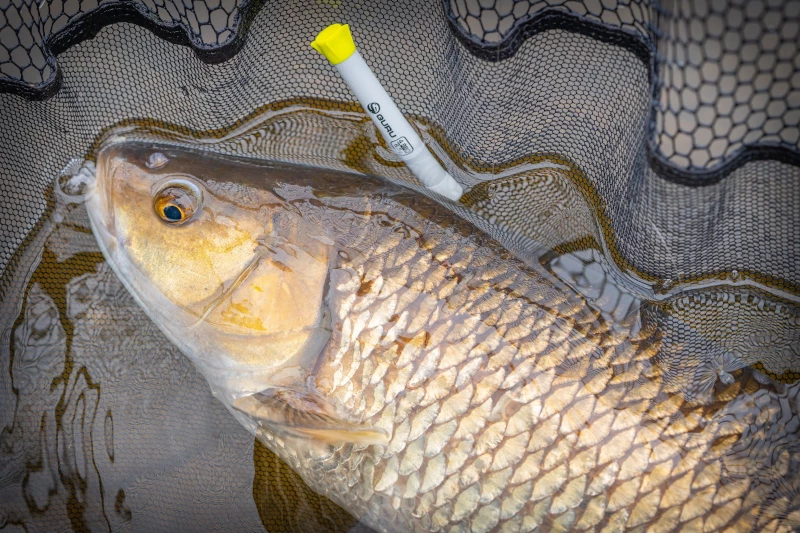 Guru Duel 600 Specimen Net - Landing nets 7 Guru Duel 600 Specimen Net - Landing nets - Image 7