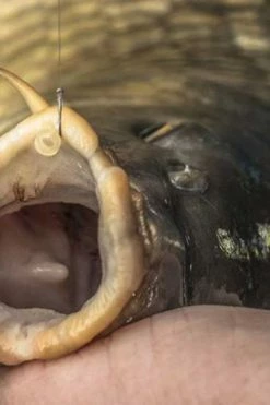 Preston Innovations KKM-B Barbless Hooks - Eyed hooks -Coarse Fishing Store vxuew4rm636446989888226761