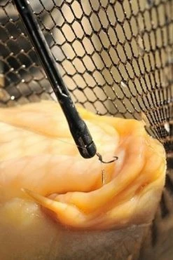 Guru Slamo Style Disgorgers - -Coarse Fishing Store wswza4ym635996072694078162