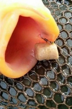 Ringers Pellet Wafters - Pop ups, boilies & wafters 7 Ringers Pellet Wafters - Pop ups, boilies & wafters -Coarse Fishing Store wvznl1s1635924382033584354