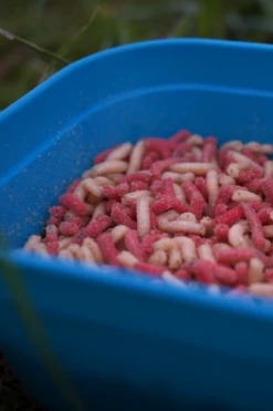 Drennan DMS Bait Boxes - -Coarse Fishing Store xtknrnka637546924218928152