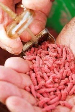 Drennan Bolt Rig Feeders - Maggot feeders -Coarse Fishing Store yapfxdr2636676741237798773