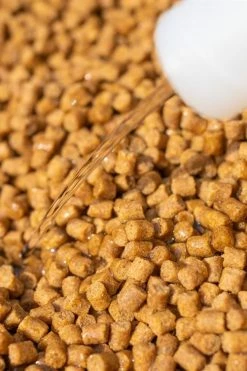 Sonubaits Clear Pellet Oils - Attractors & dips -Coarse Fishing Store ypyx4uzn637508989019207979